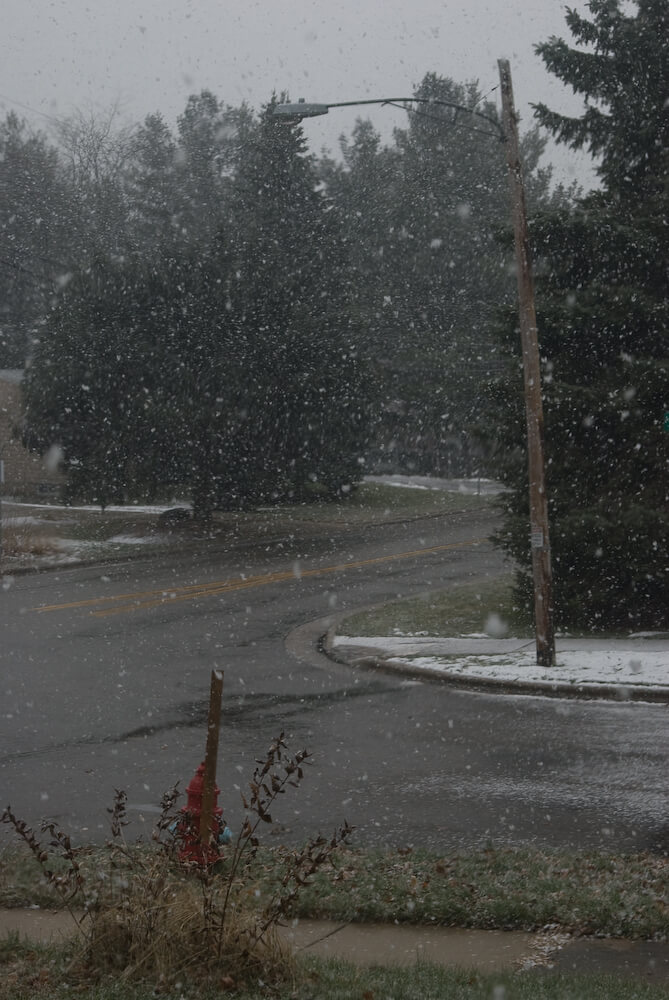 Snow Begins